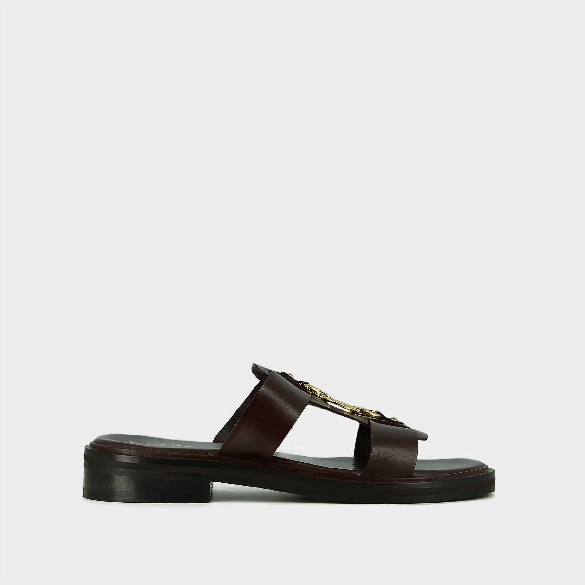 264- Dop Cuir Marron-Fonce Jonak women's stylish shoes with modern design