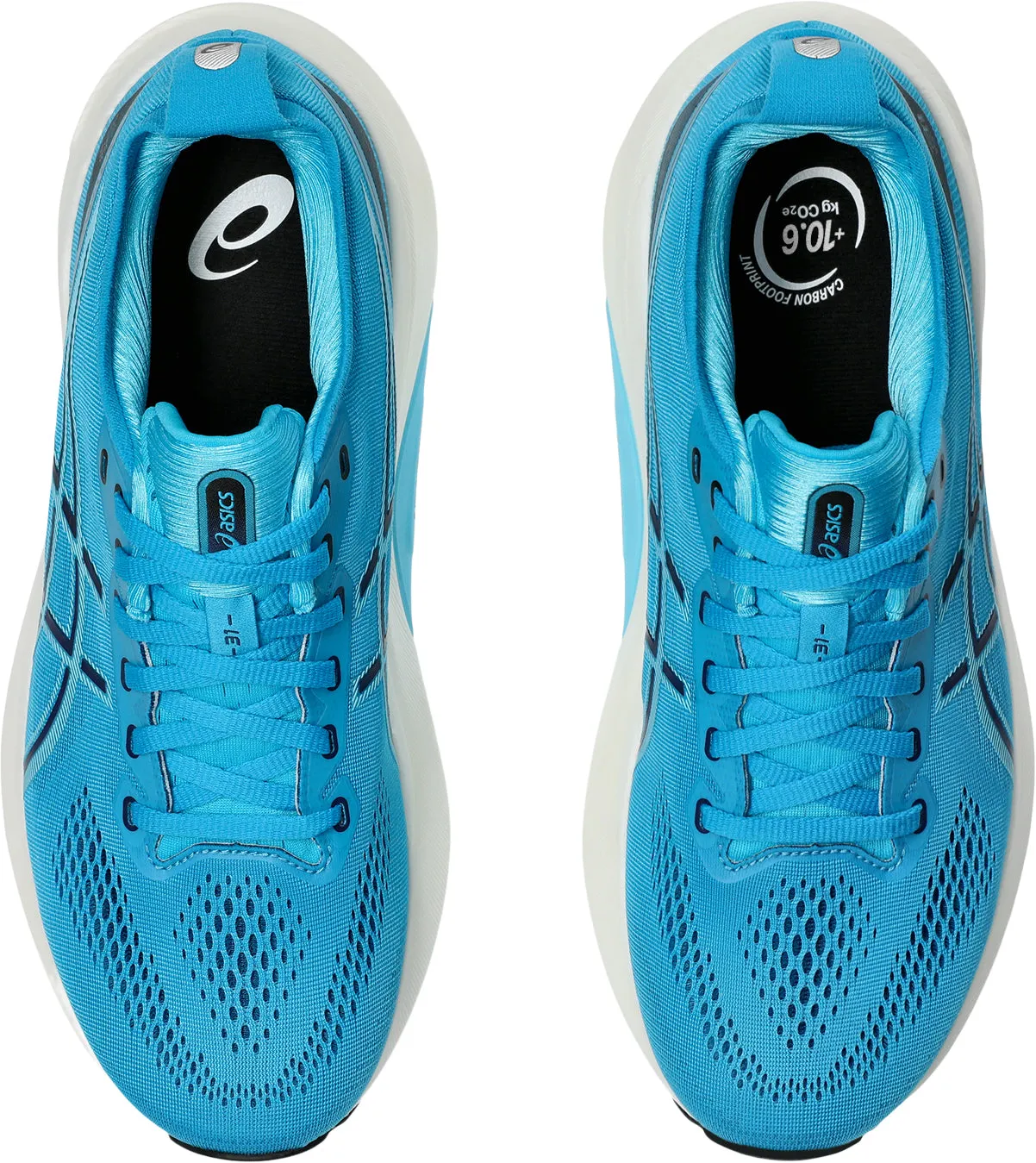 Asics Gel Kayano 31 Mens Running Shoes - Blue Performance Shoes