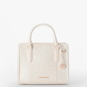 Cami Bags Brahmin Satchels
