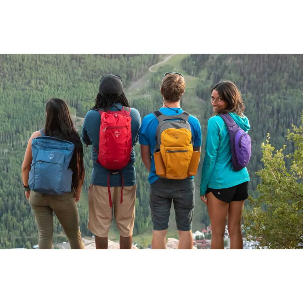 Daylite Sling Osprey Bags