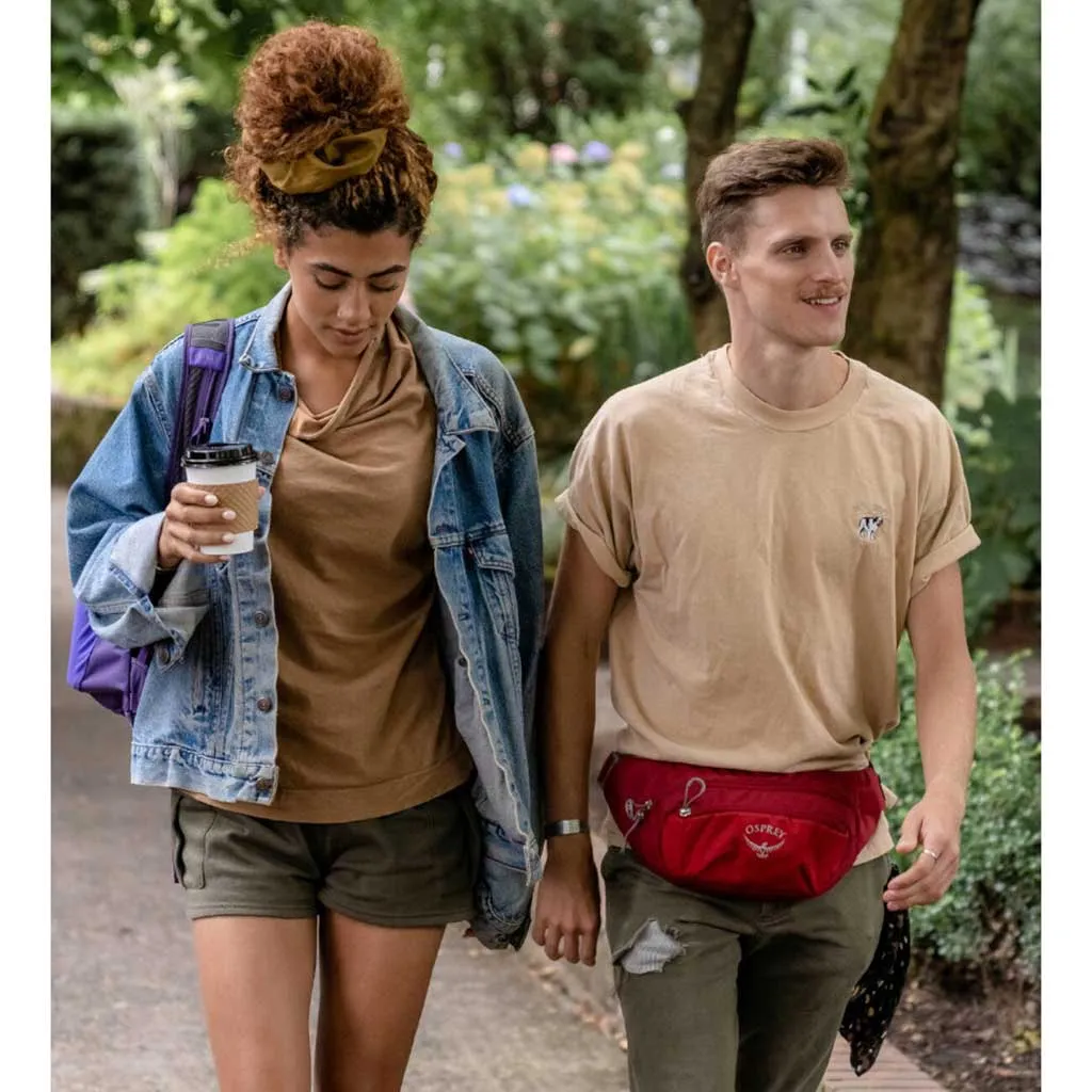 Daylite Waist Osprey Bags