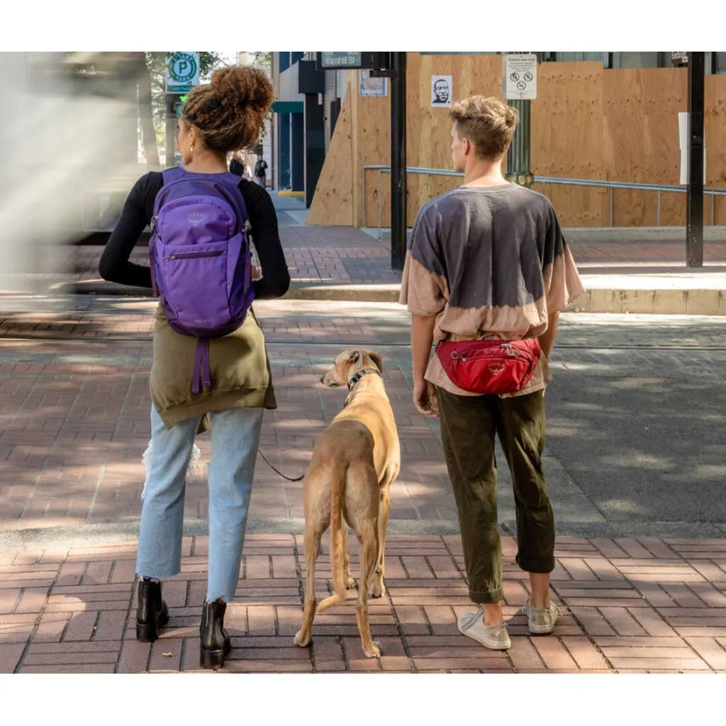 Daylite Waist Osprey Bags