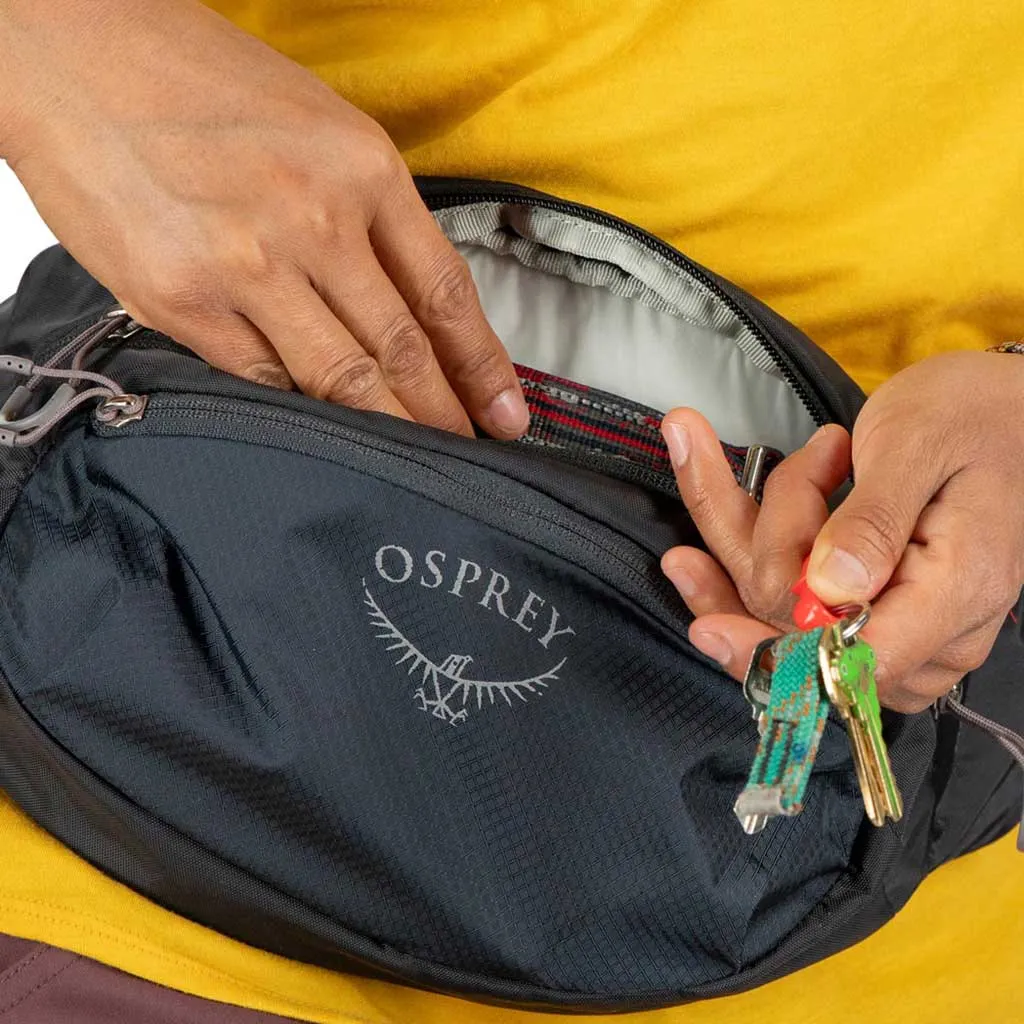 Daylite Waist Osprey Bags