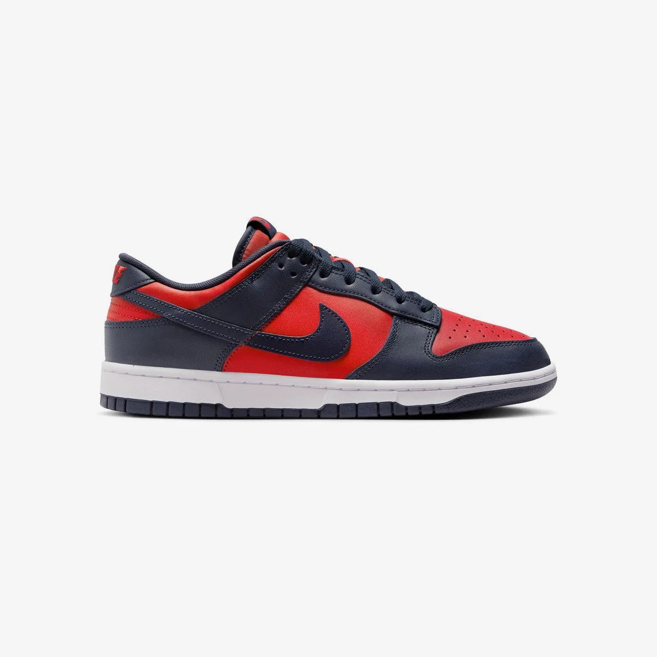 Dunk Low Retro Nike shoes blending performance and street flair