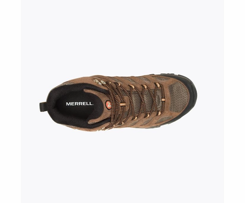 Men's MOAB 3 Mid WP Daily Hike Footwear