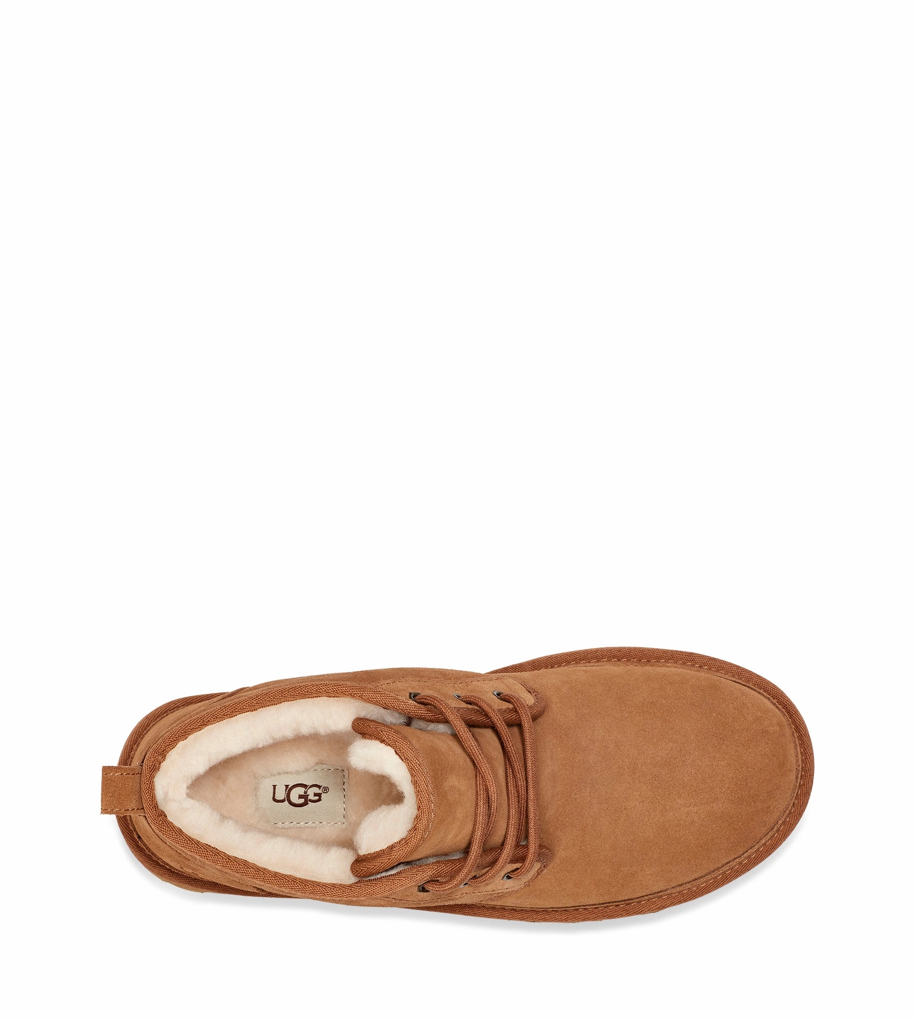 MEN'S NEUMEL Ugg Tasman Edition