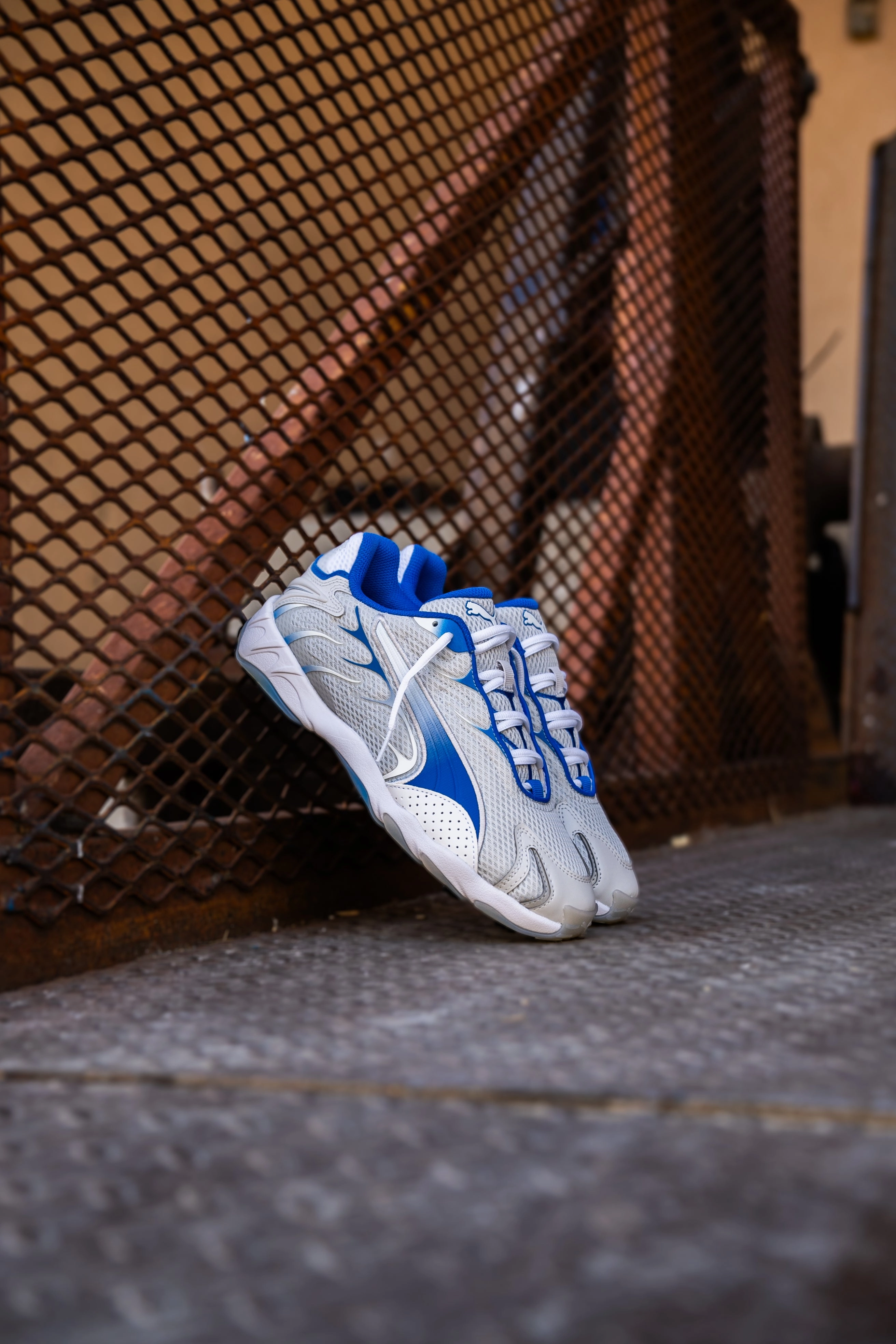 Mens Puma Inhale (Feather Grey/Team Roya) Puma athletic shoe visuals