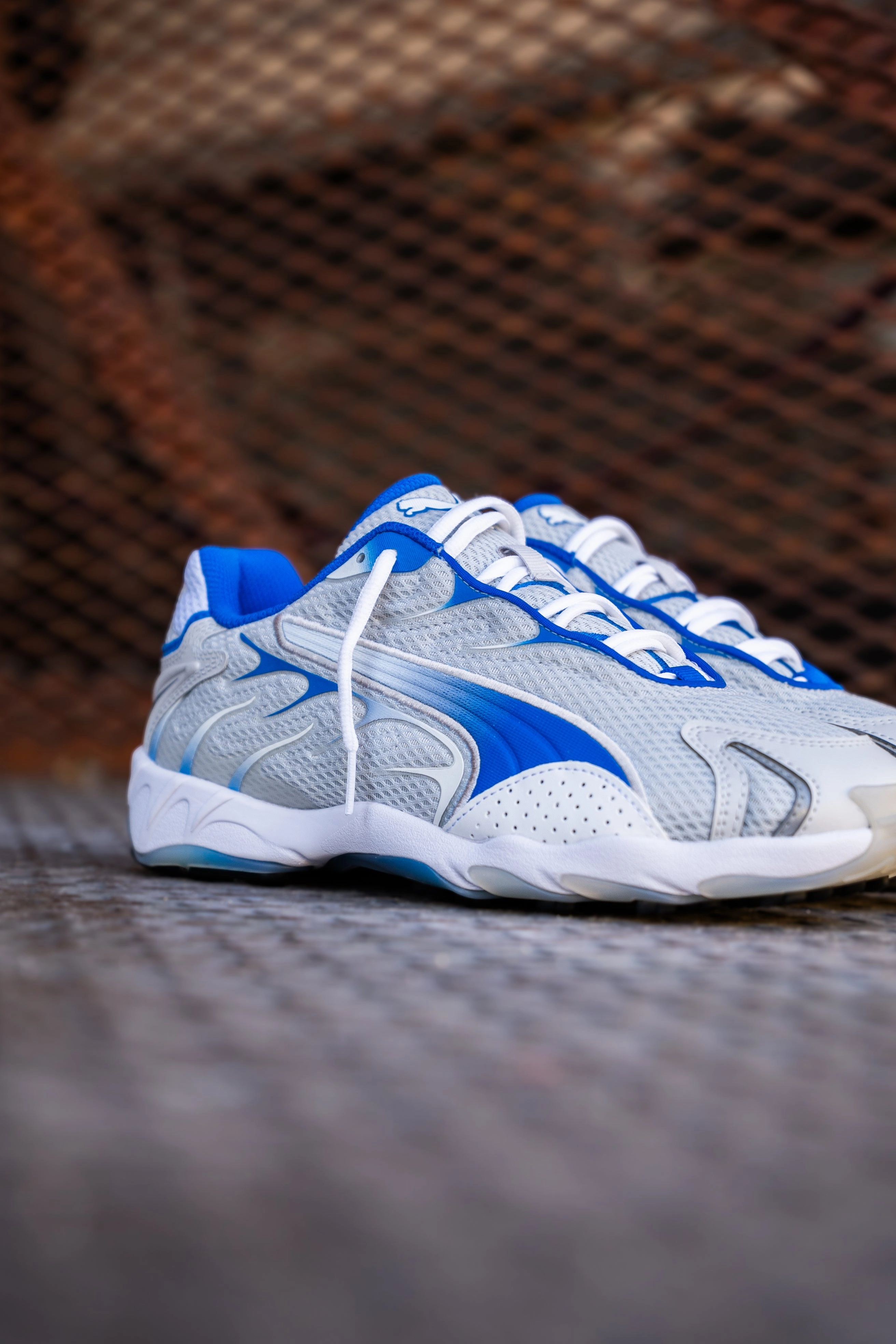 Mens Puma Inhale (Feather Grey/Team Roya) Puma athletic shoe visuals
