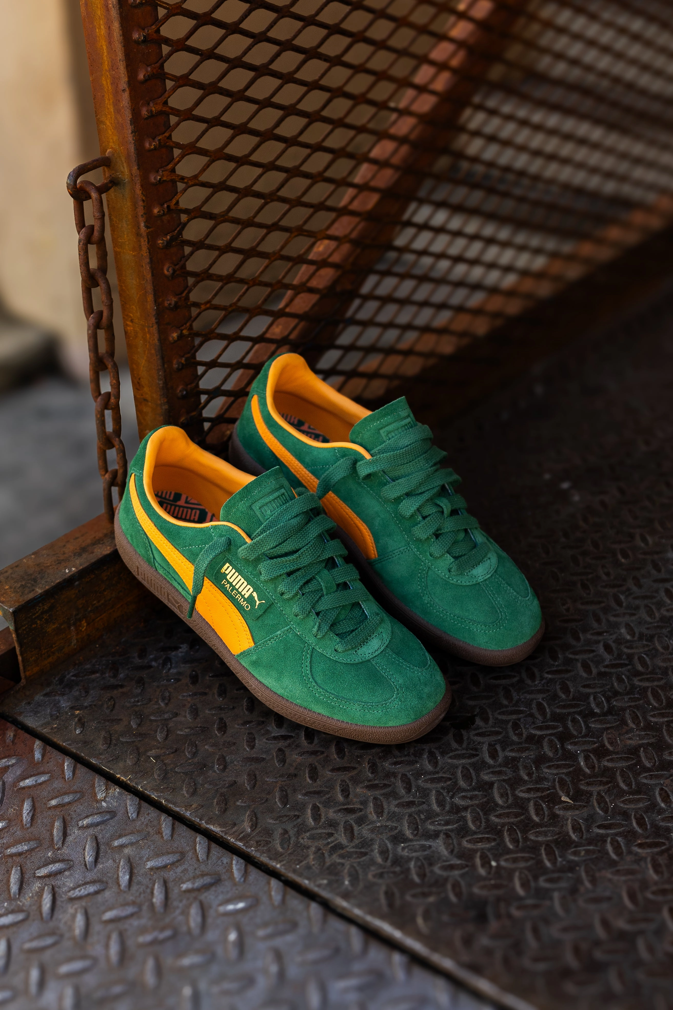Mens Puma Palermo (Vine/Clementine) Puma athletic shoe visuals