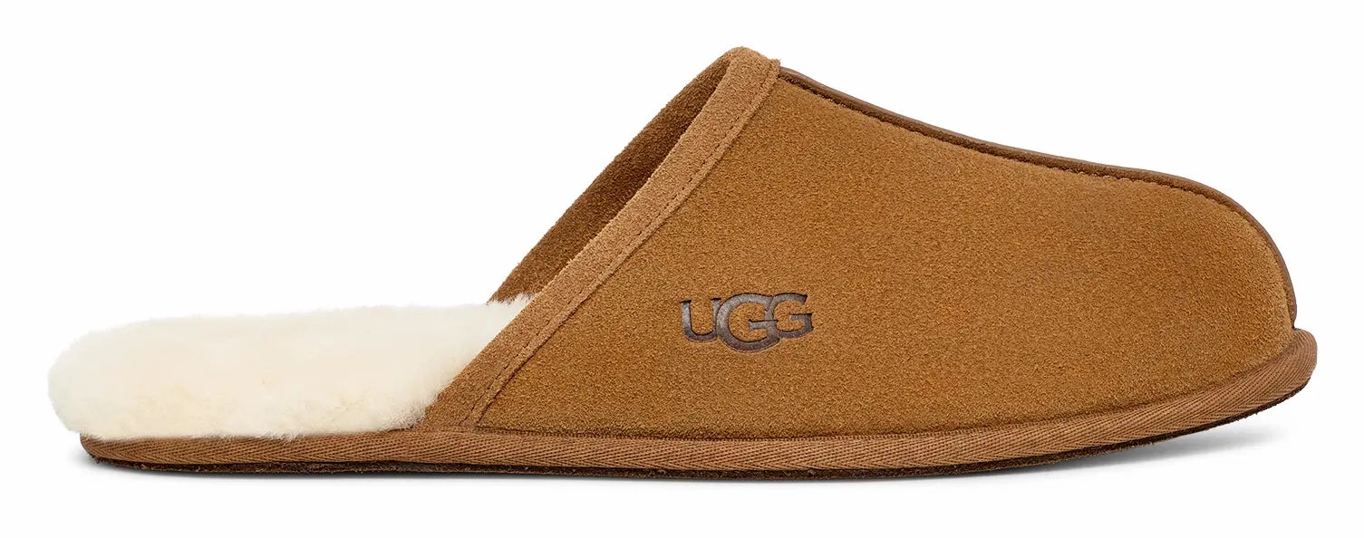 Mens UGG Scuff  Cozy Wool-Lined Indoor Slipper Ugg cozy footwear visuals