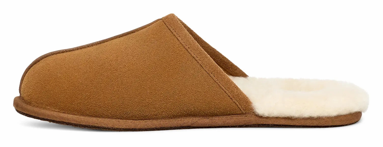 Mens UGG Scuff  Cozy Wool-Lined Indoor Slipper Ugg cozy footwear visuals