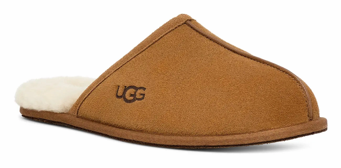 Mens UGG Scuff  Cozy Wool-Lined Indoor Slipper Ugg cozy footwear visuals