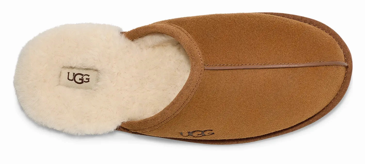 Mens UGG Scuff  Cozy Wool-Lined Indoor Slipper Ugg cozy footwear visuals