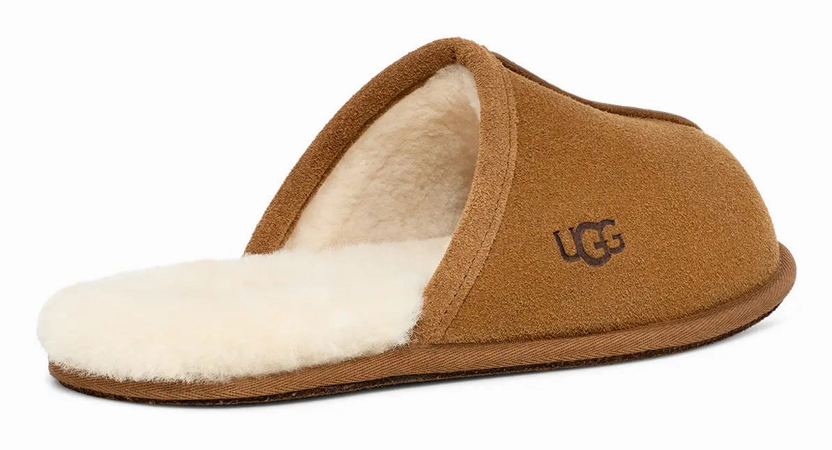 Mens UGG Scuff  Cozy Wool-Lined Indoor Slipper Ugg cozy footwear visuals