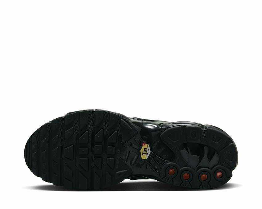 Nike Air Max Plus W Nike all-day comfort shoes