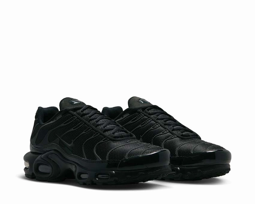 Nike Air Max Plus W Nike all-day comfort shoes