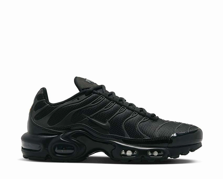 Nike Air Max Plus W Nike classic sneakers for everyday motion