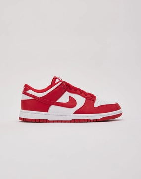 Nike Dunk Low Next Nature Nike casual sneakers with modern design