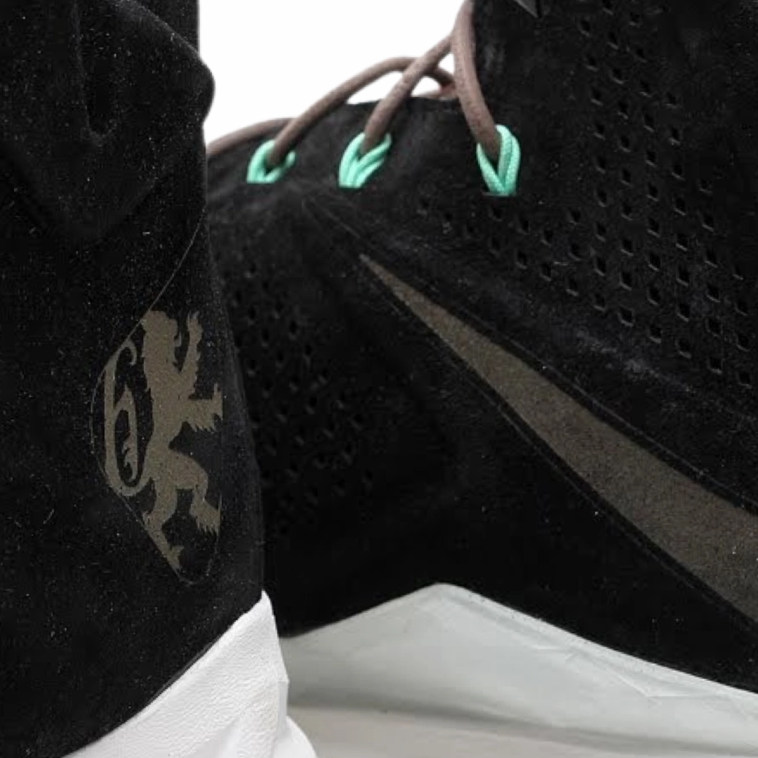 Nike Lebron 10 Black Mint Street Shoes