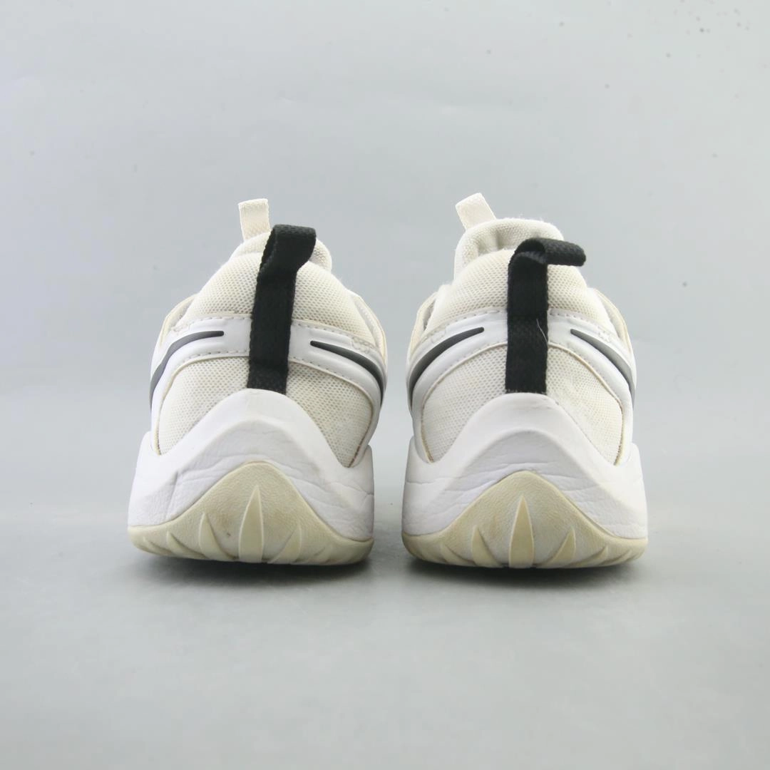 NIKE ZOOM HYPERACE 2 classic Nike shoe photos