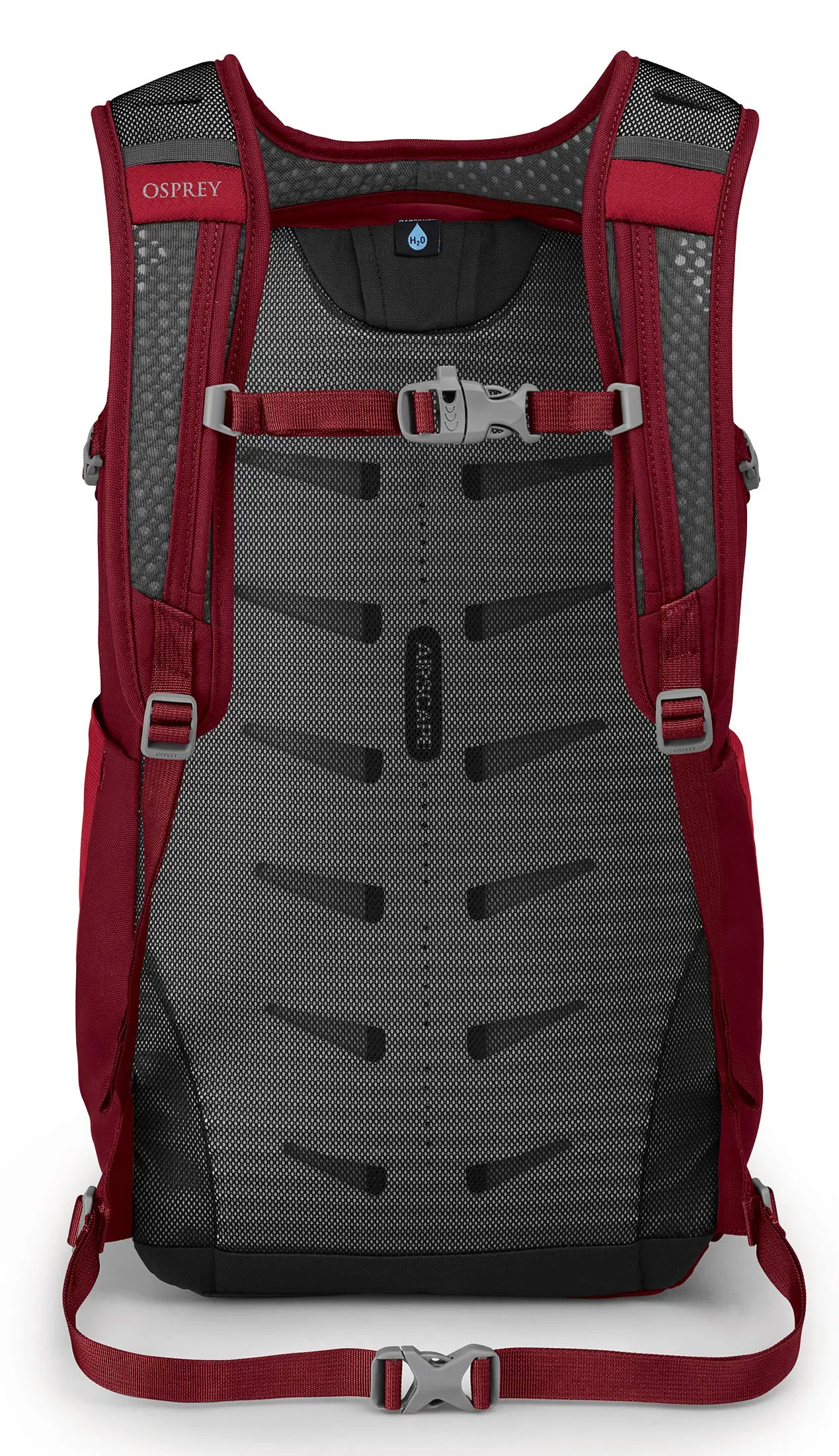 Osprey Daylite Plus Daypack Bags Osprey-Packs