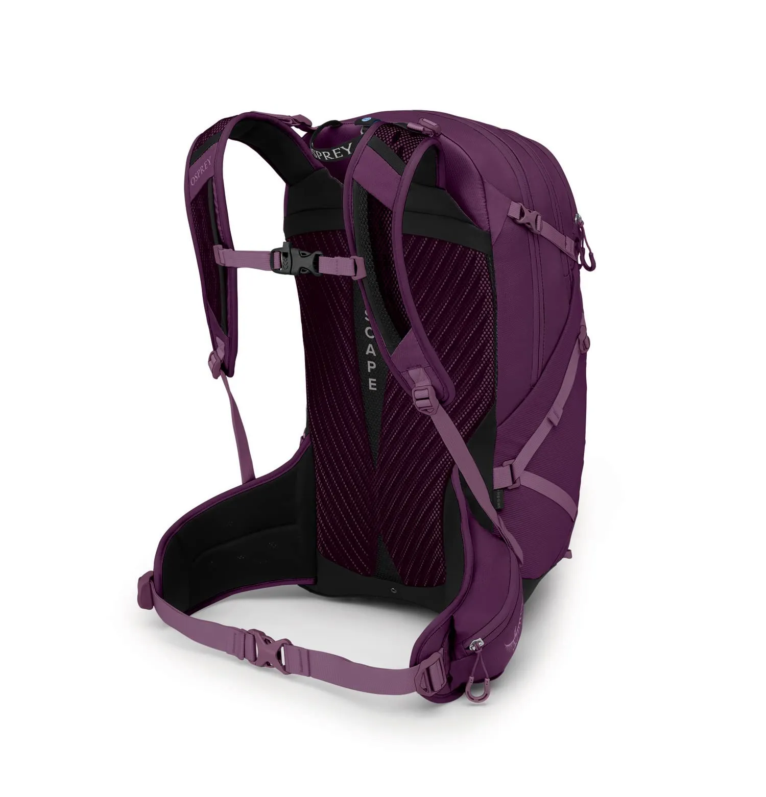 Osprey Packs Sportlite Backpack Bags Osprey-Packs