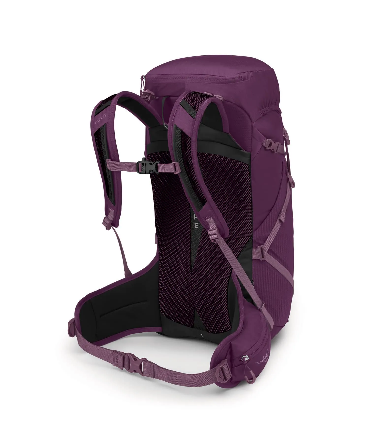Osprey Packs Sportlite Backpack Bags Osprey-Packs