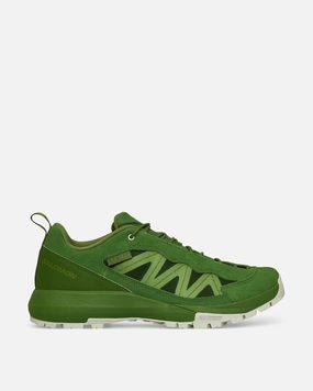 Phileo Alpinway SP2 Sneakers Treetop / Icicle / Calla Green Salomon footwear options