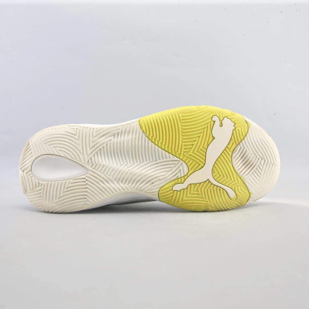 PUMA EBOUND FUTURE EVO Puma signature shoe pictures