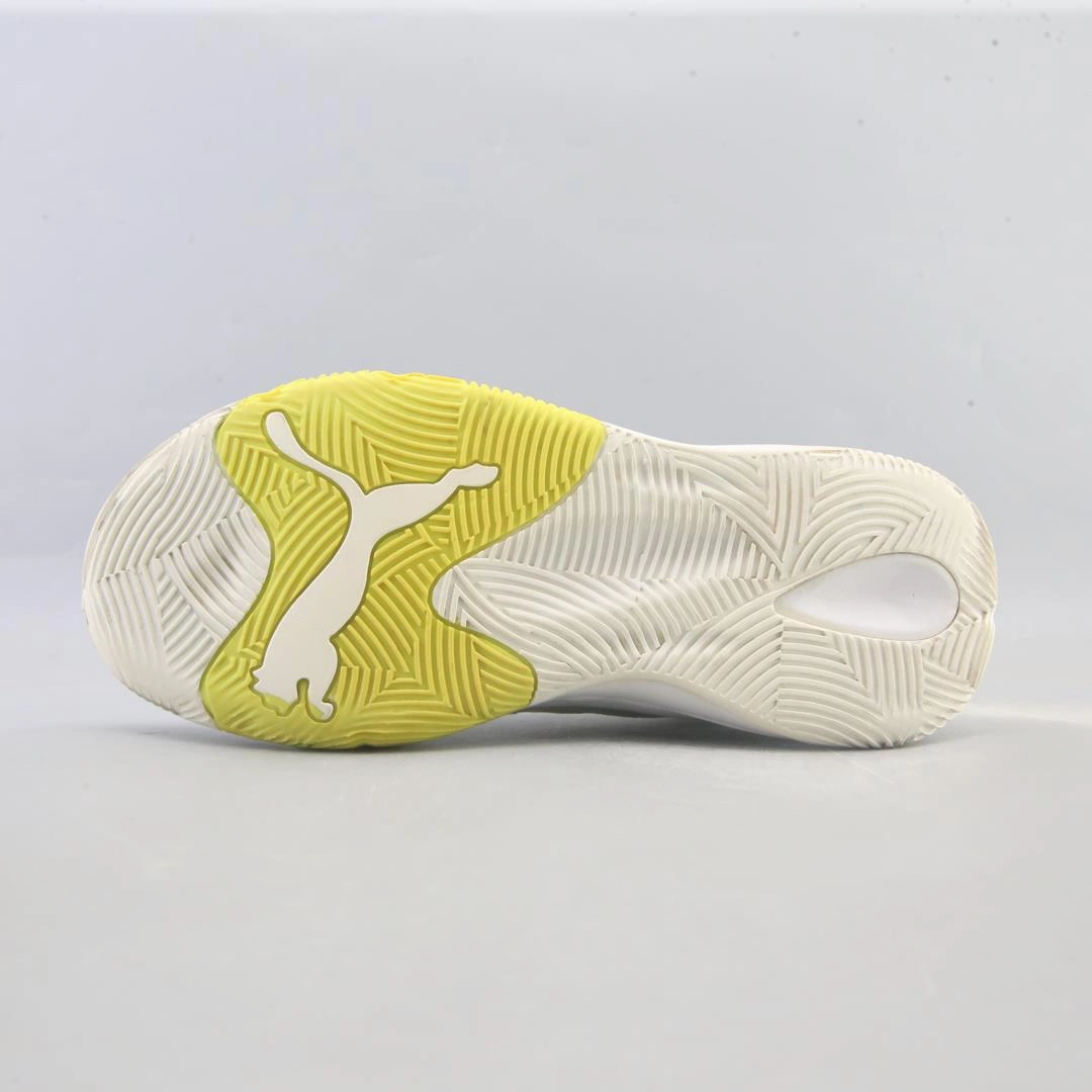 PUMA EBOUND FUTURE EVO Puma signature shoe pictures