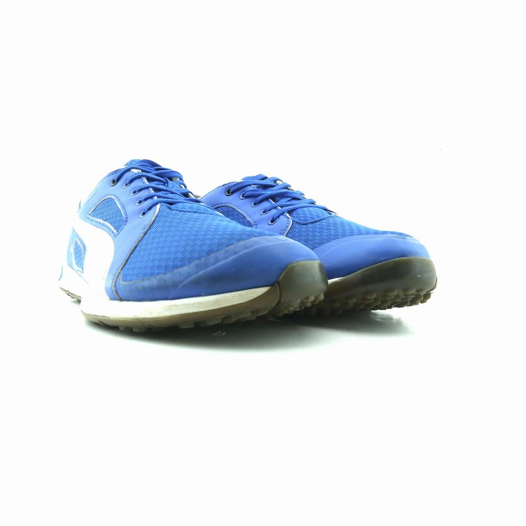 PUMA EVERFOAM Puma signature shoe pictures