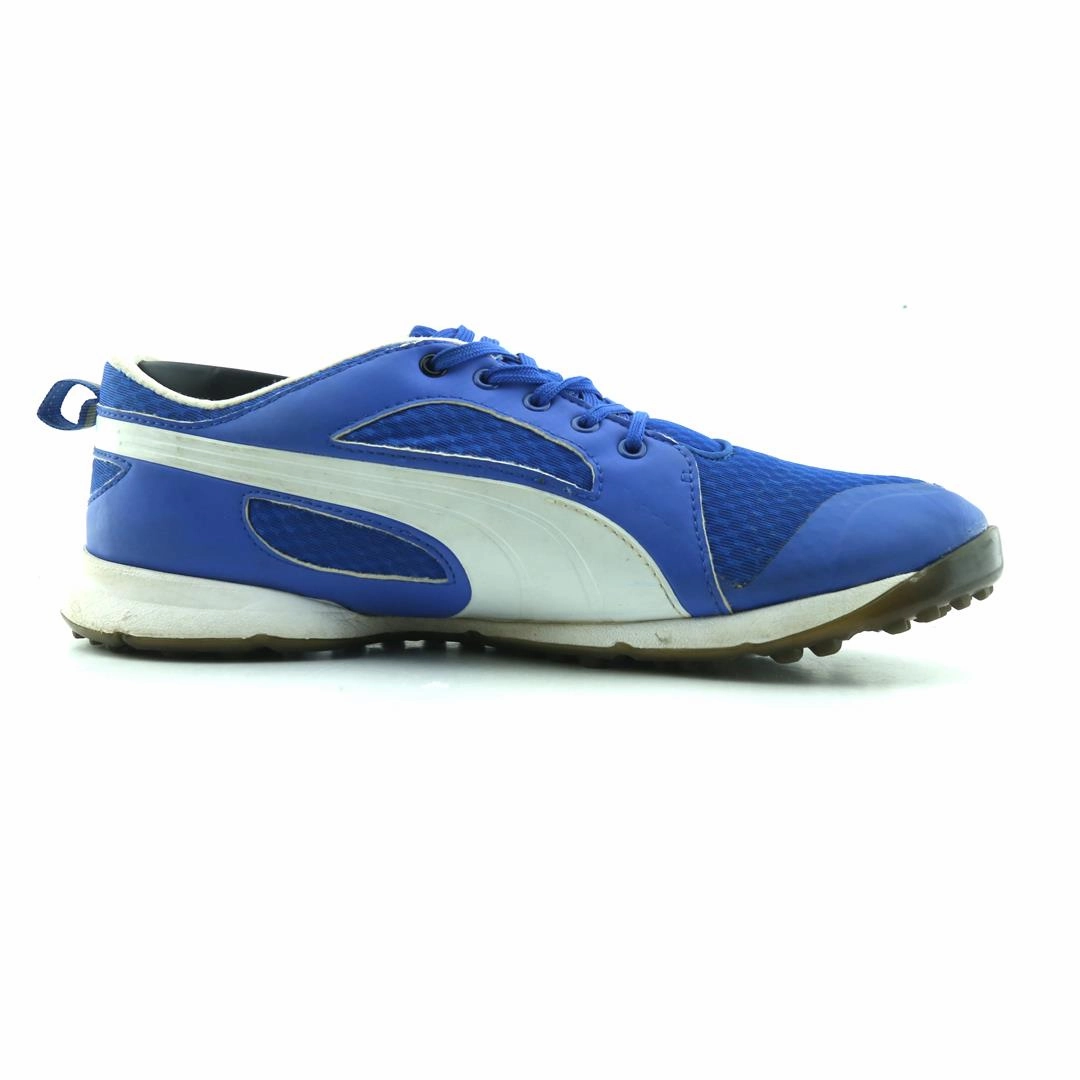 PUMA EVERFOAM Puma signature shoe pictures