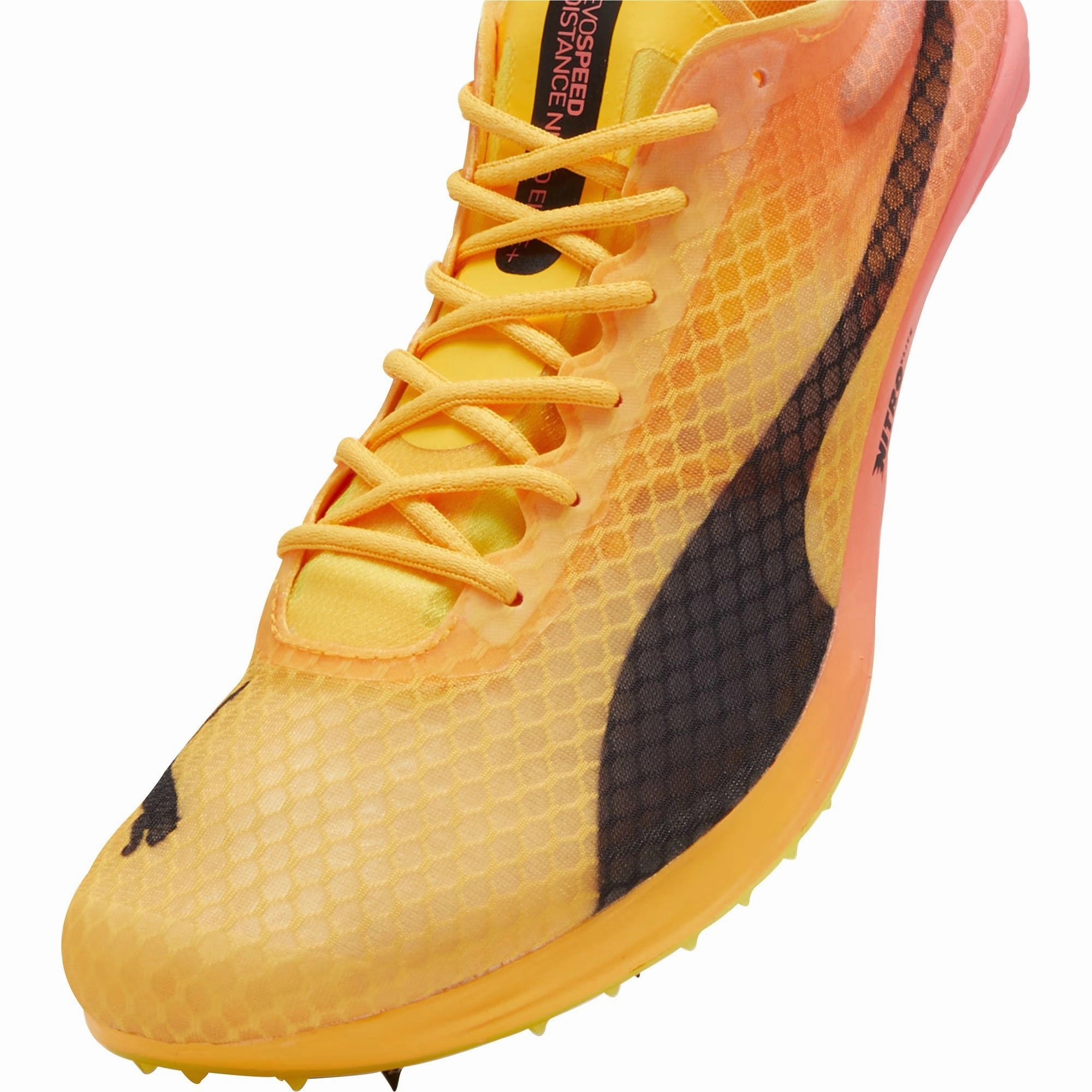 Puma evoSpeed Distance Nitro Elite   4 Running Spikes - Orange Cozy Footwear