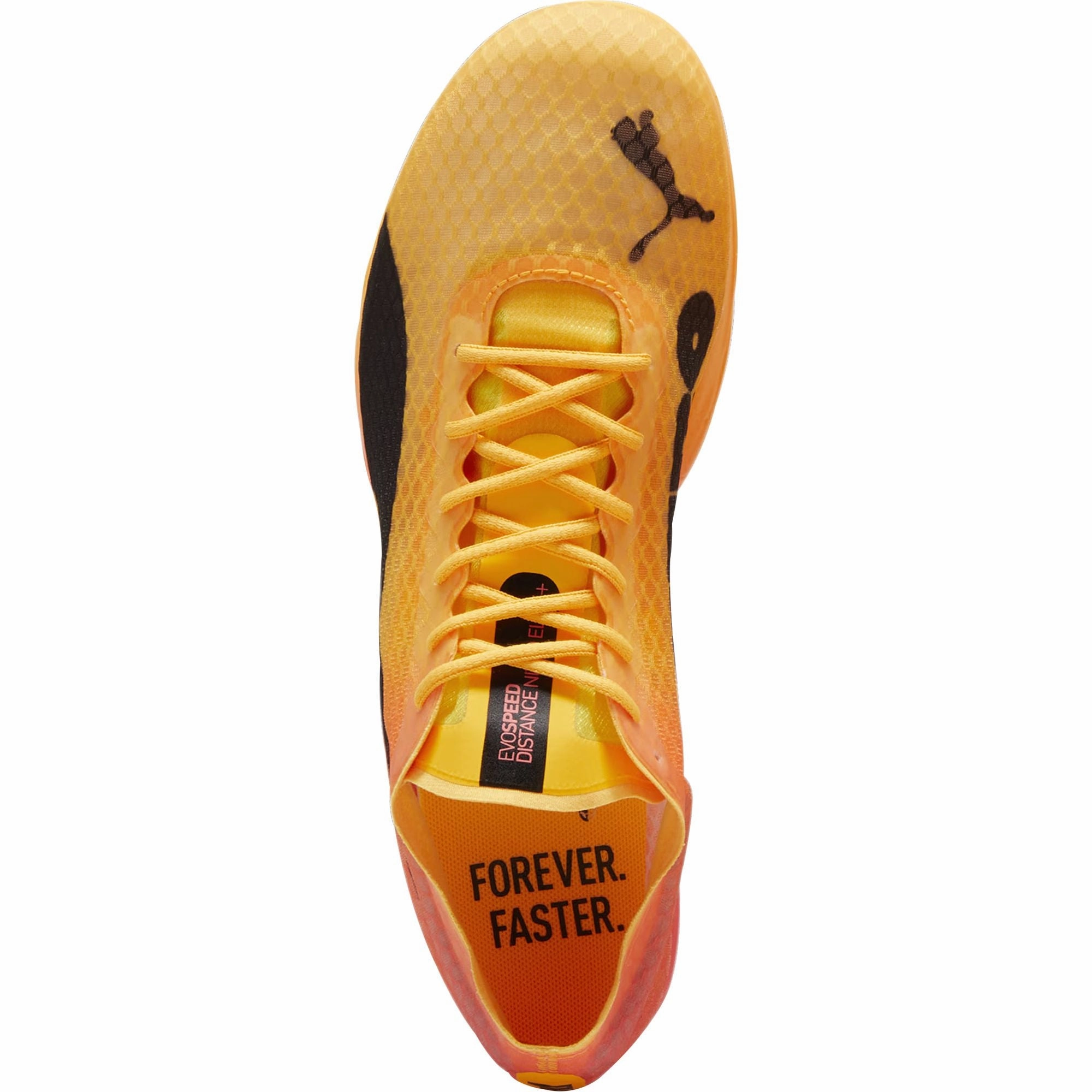 Puma evoSpeed Distance Nitro Elite   4 Running Spikes - Orange Cozy Footwear