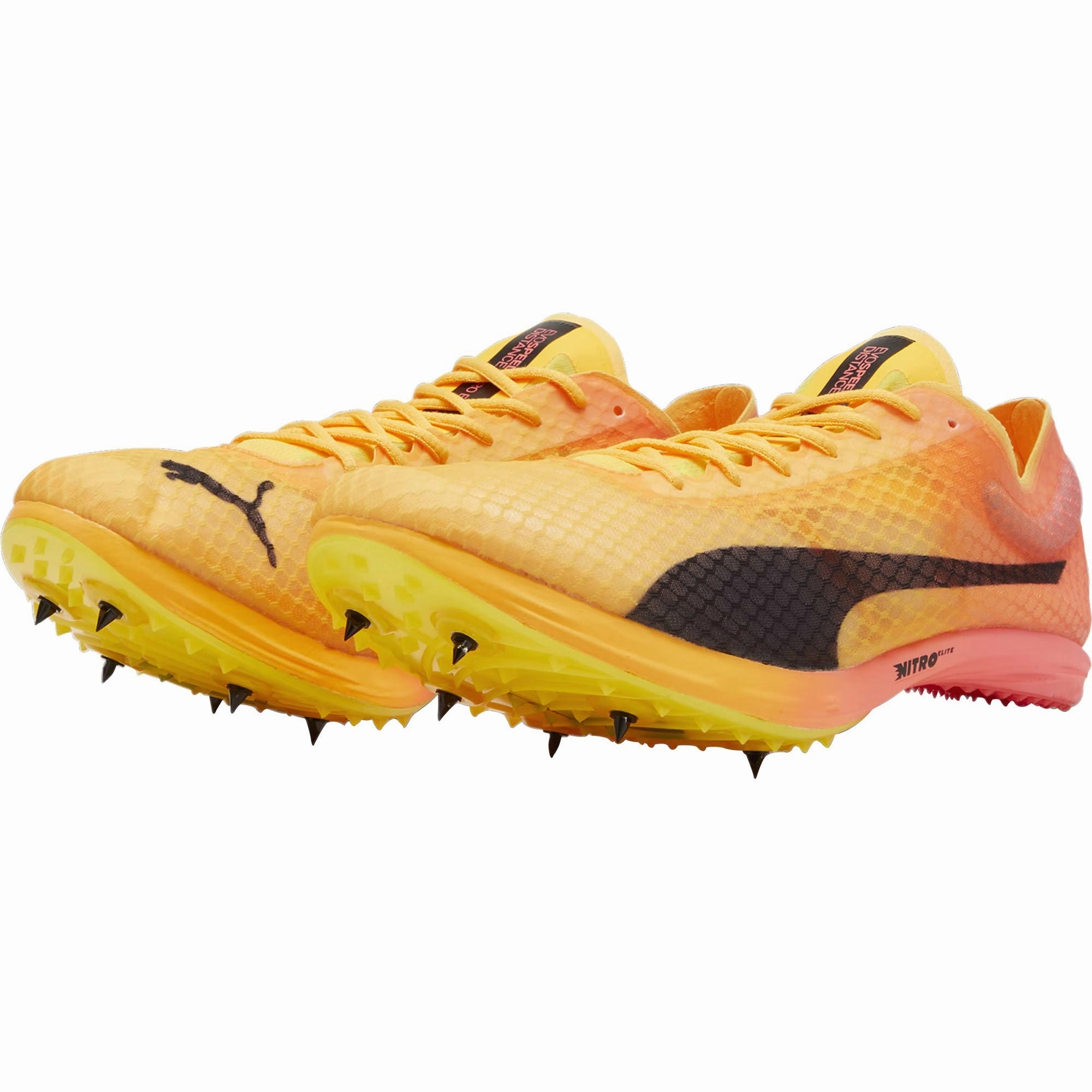 Puma evoSpeed Distance Nitro Elite   4 Running Spikes - Orange Cozy Footwear