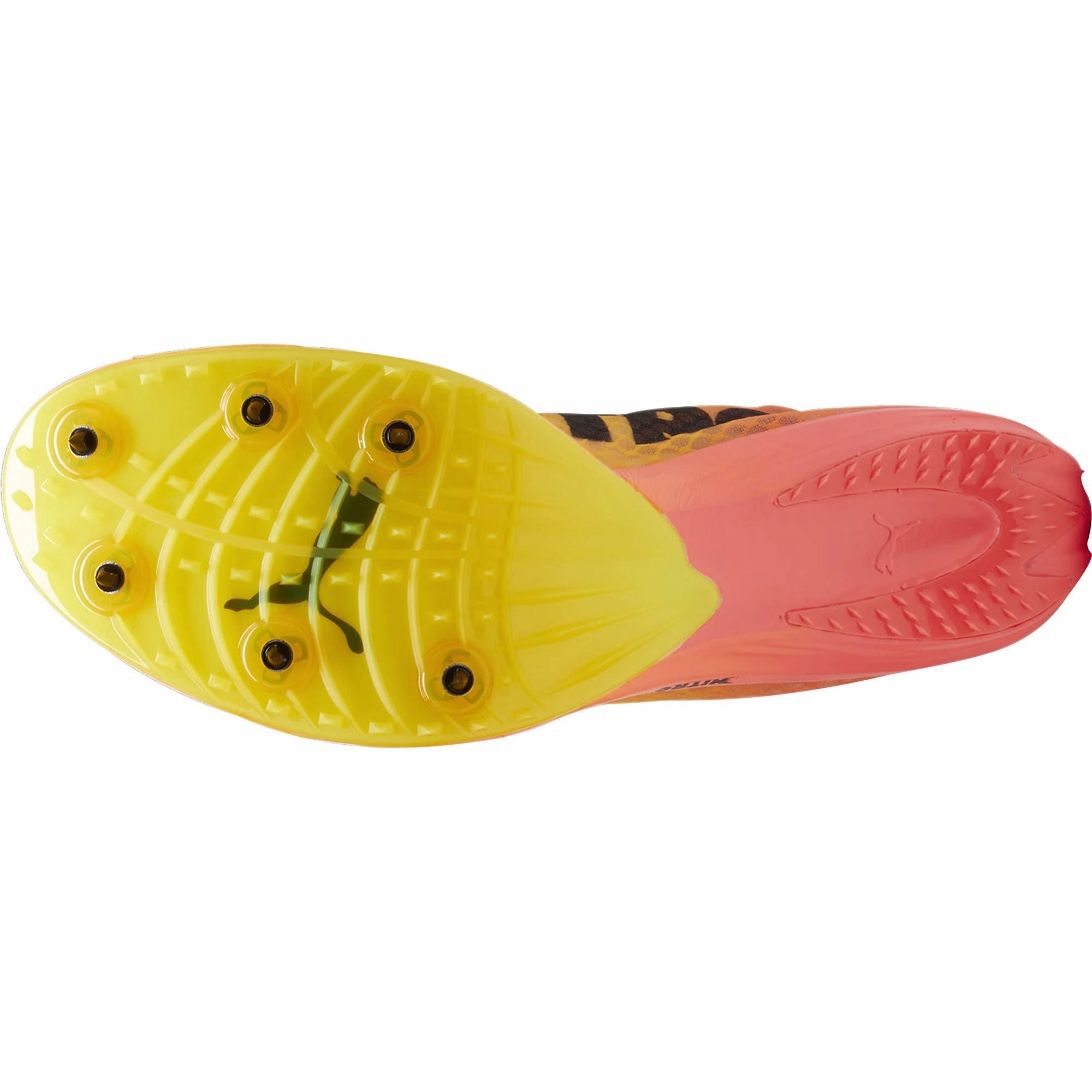 Puma evoSpeed Distance Nitro Elite   4 Running Spikes - Orange Cozy Footwear