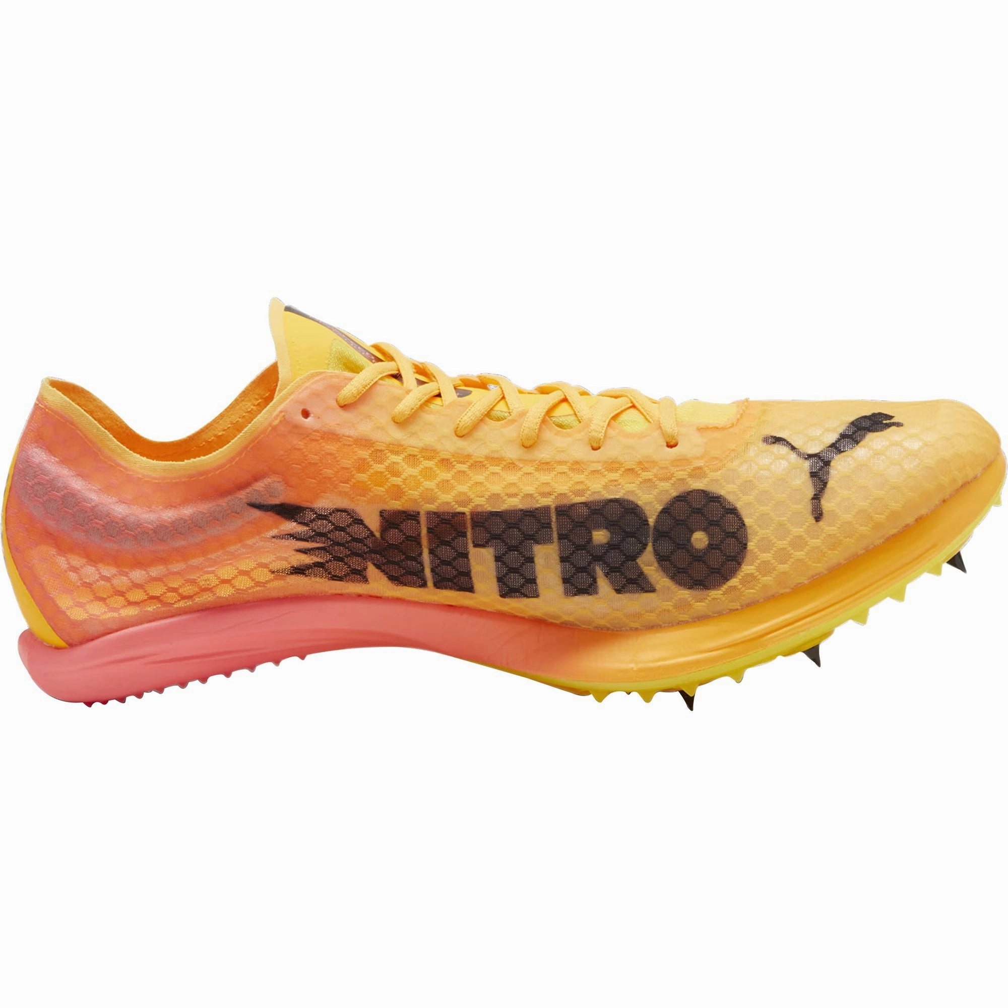 Puma evoSpeed Distance Nitro Elite   4 Running Spikes - Orange Cozy Footwear