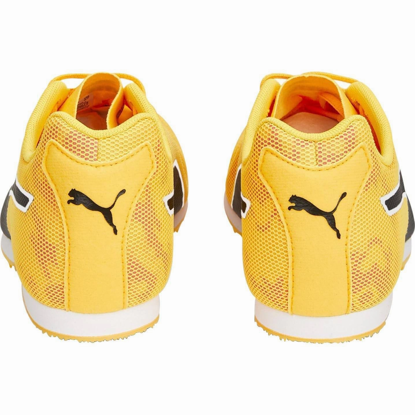Puma evoSpeed Star 8 Running Spikes - Orange Cozy Footwear