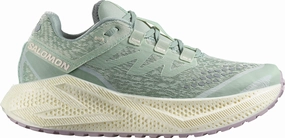 Salomon Aero Glide 3 GRVL Womens Trail Running Shoes - Green Salomon shoe styles