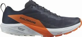 Salomon Sense Ride 5 GORE-TEX Mens Trail Running Shoes - Grey Salomon footwear designs