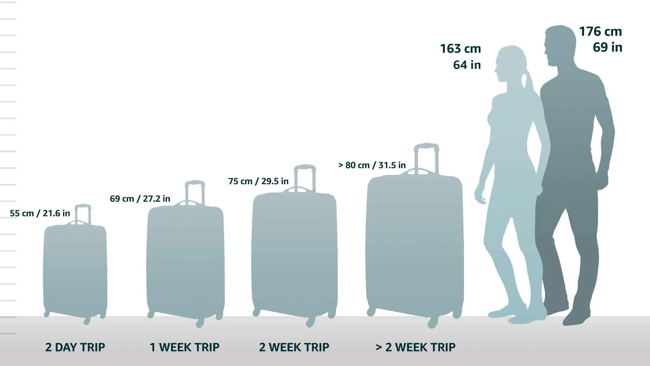 Samsonite Winfield 2 3 Piece Set (20"/24"/28") 4-Wheel Luggage Sets Bags Samsonite