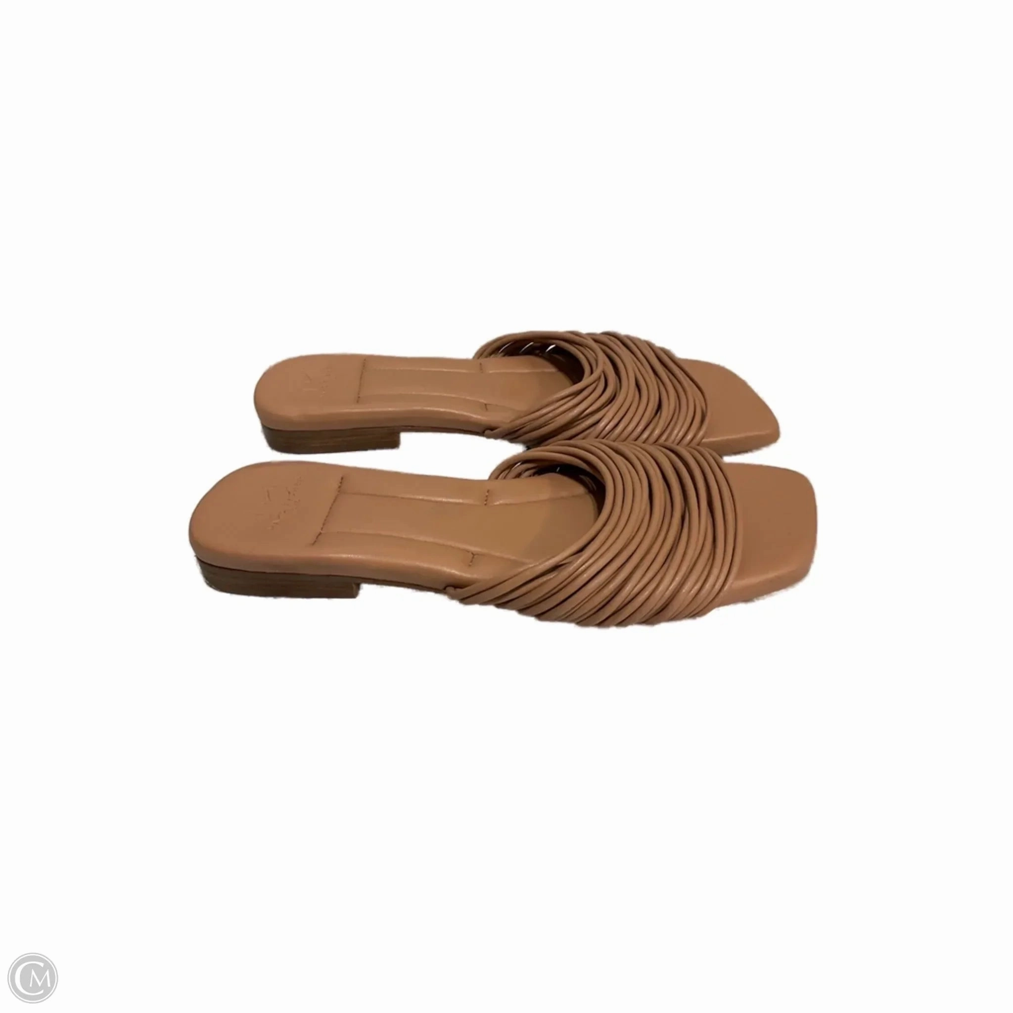 Sandals Flats By Marc Fisher In Brown, Size: 6 Fashion Heels