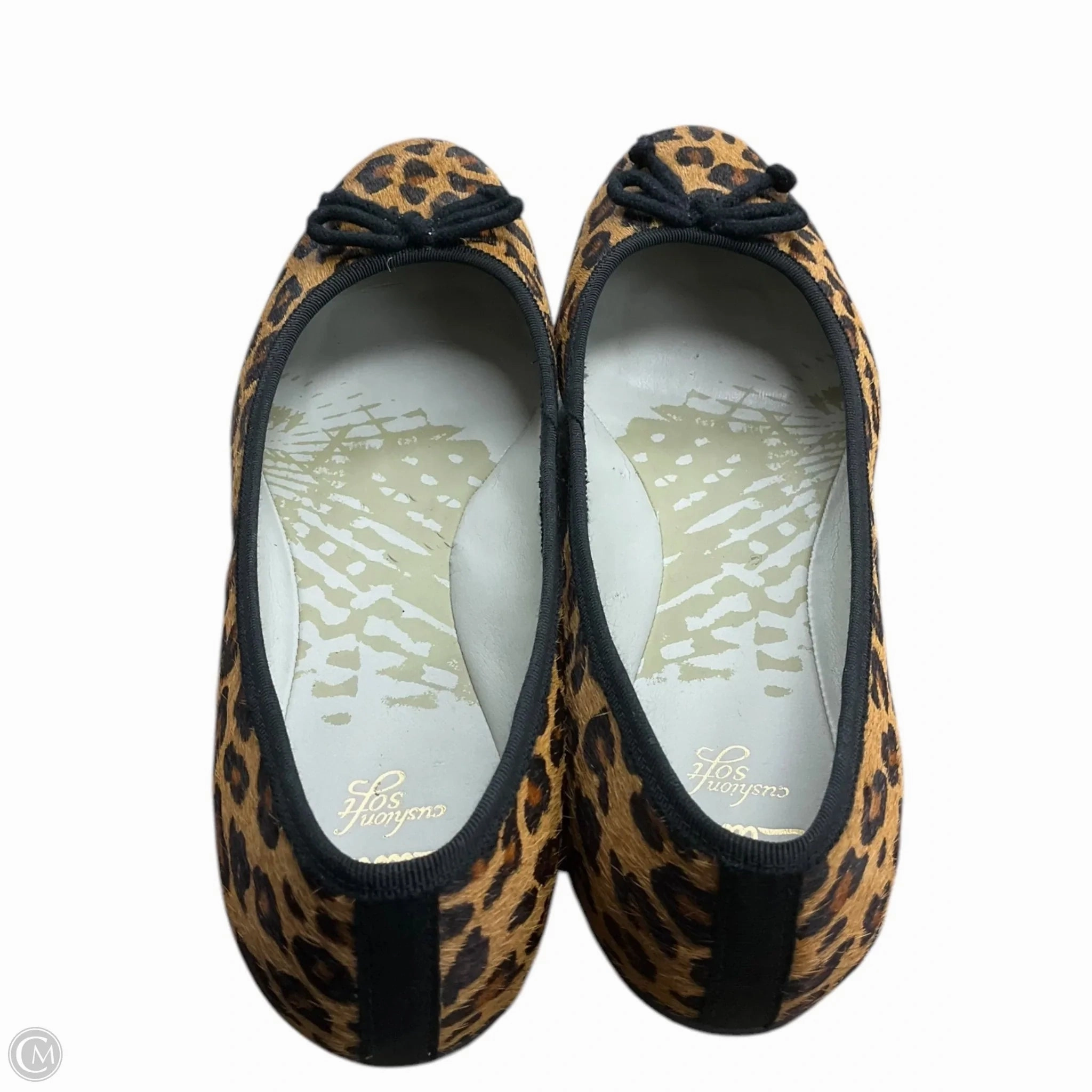 Shoes Flats By Clarks In Animal Print, Size: 6 Leather Footwear