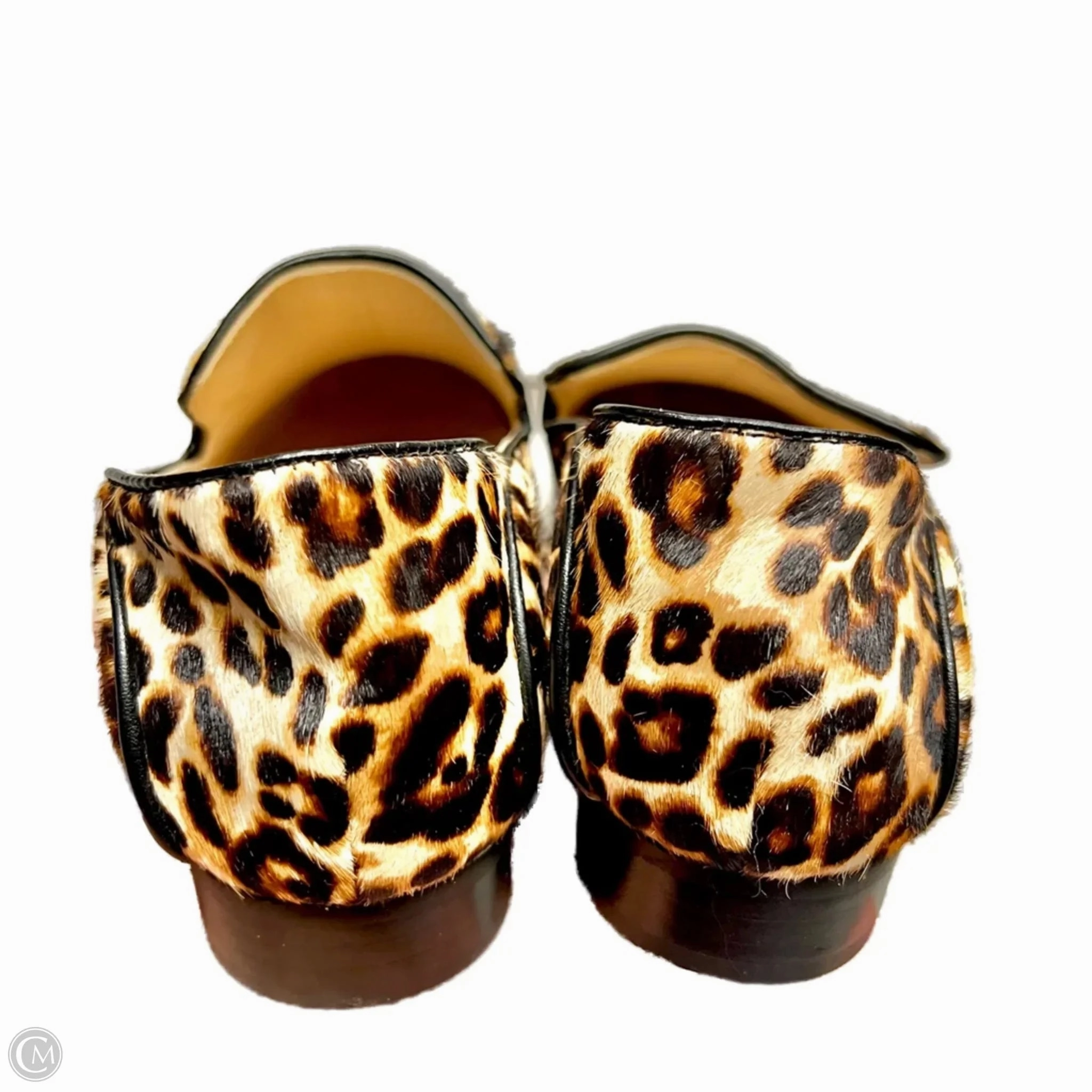 Shoes Flats By Clarks In Animal Print, Size: 7 Leather Footwear