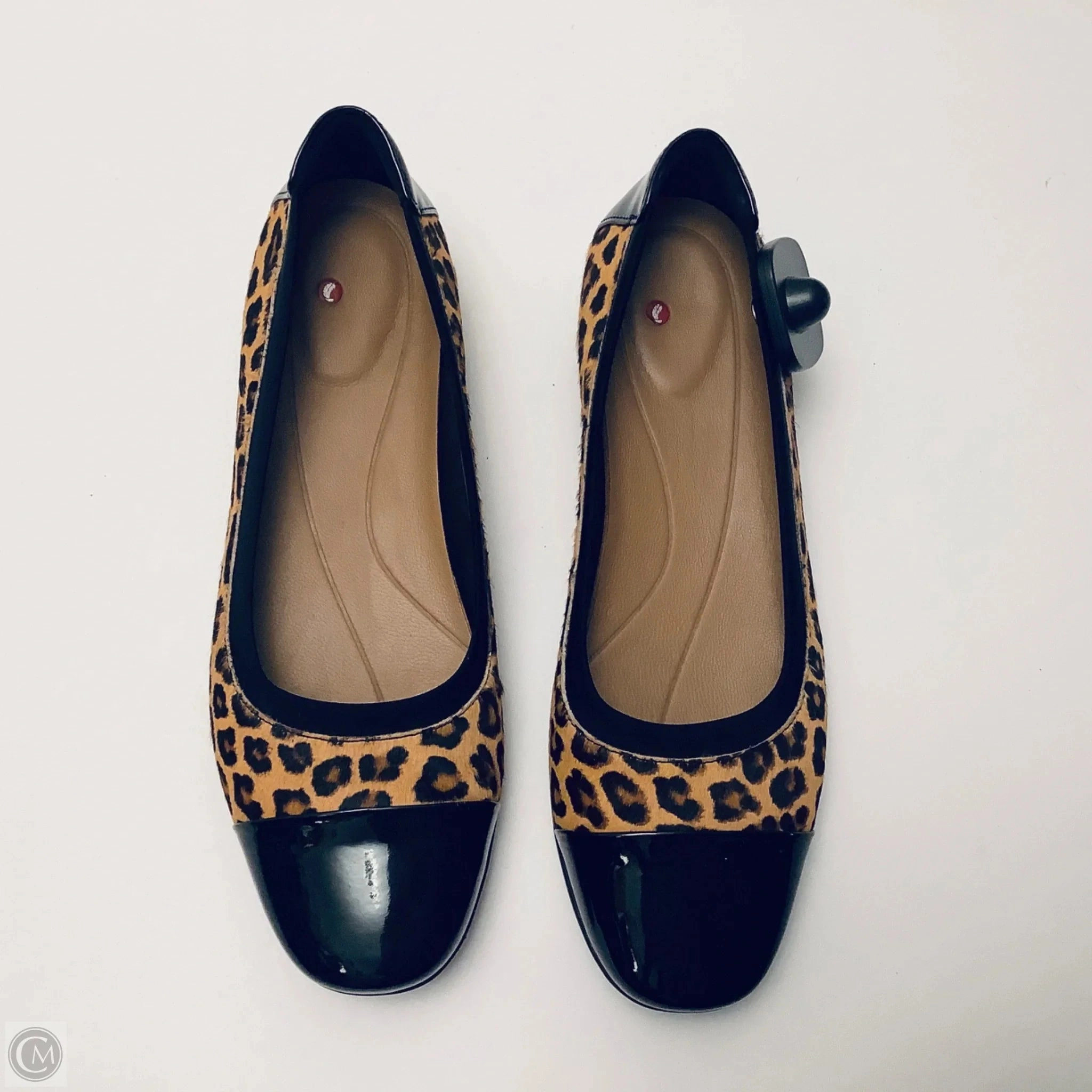 Shoes Flats By Clarks In Animal Print, Size: 8 Leather Footwear