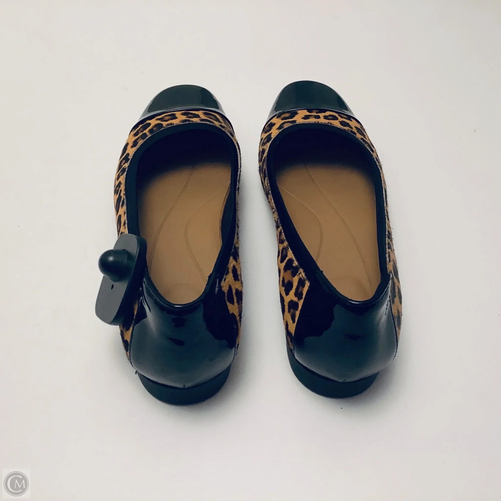 Shoes Flats By Clarks In Animal Print, Size: 8 Leather Footwear