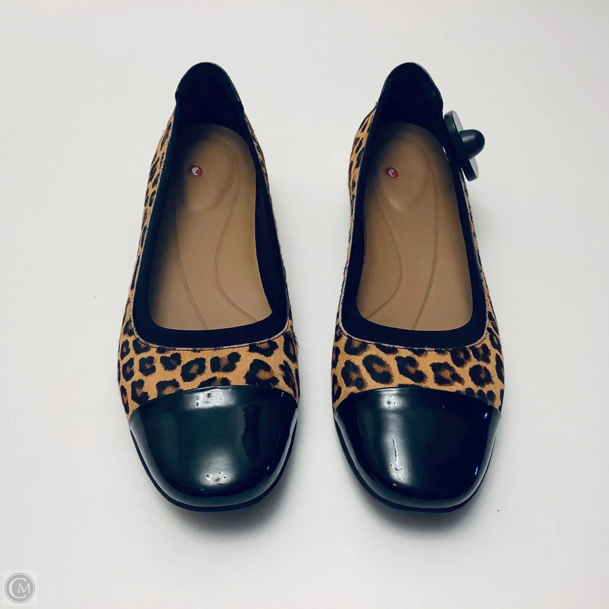 Shoes Flats By Clarks In Animal Print, Size: 8 Leather Footwear