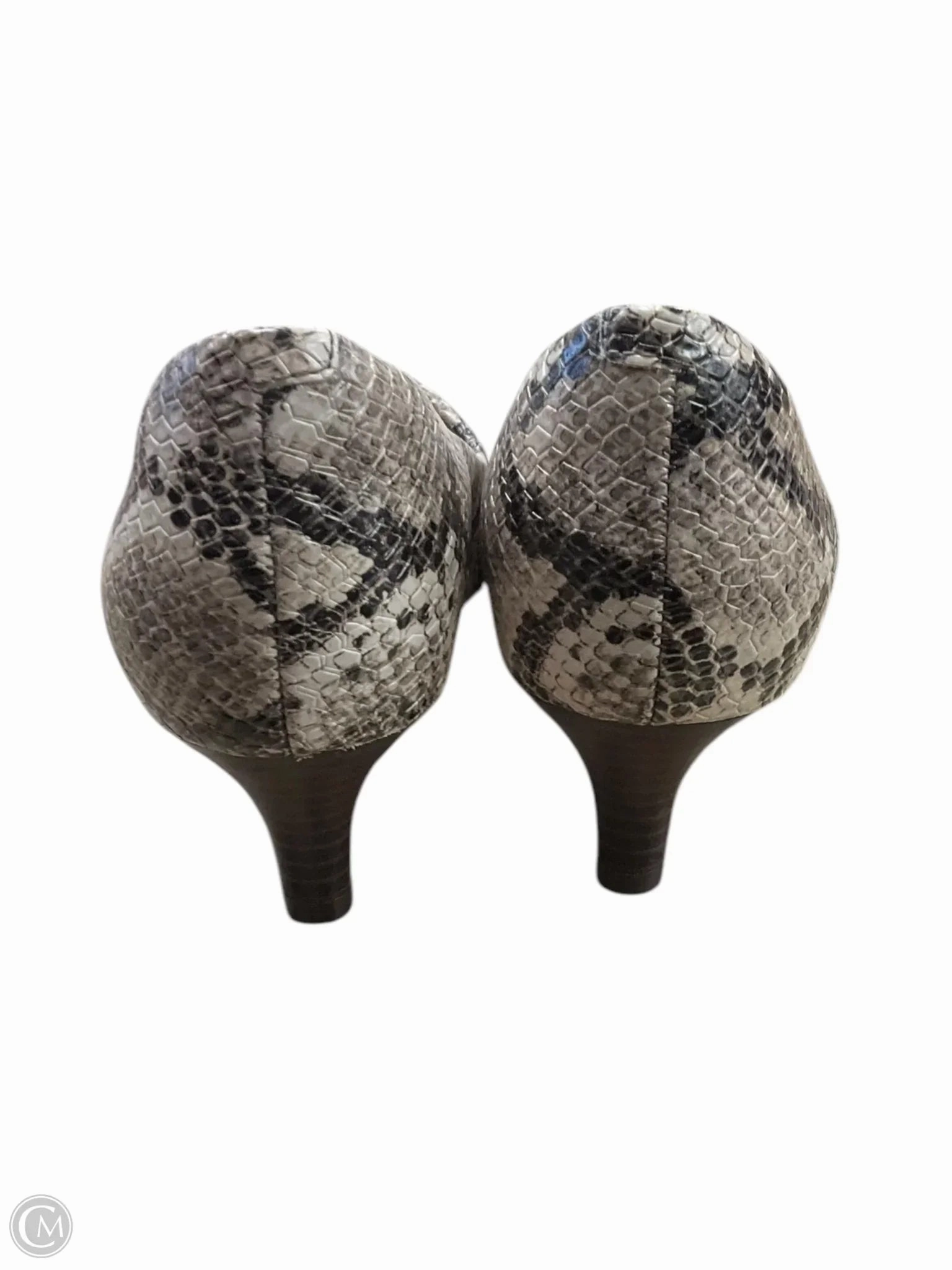 Shoes Heels Kitten By Clarks In Snakeskin Print, Size: 6.5 Leather Footwear