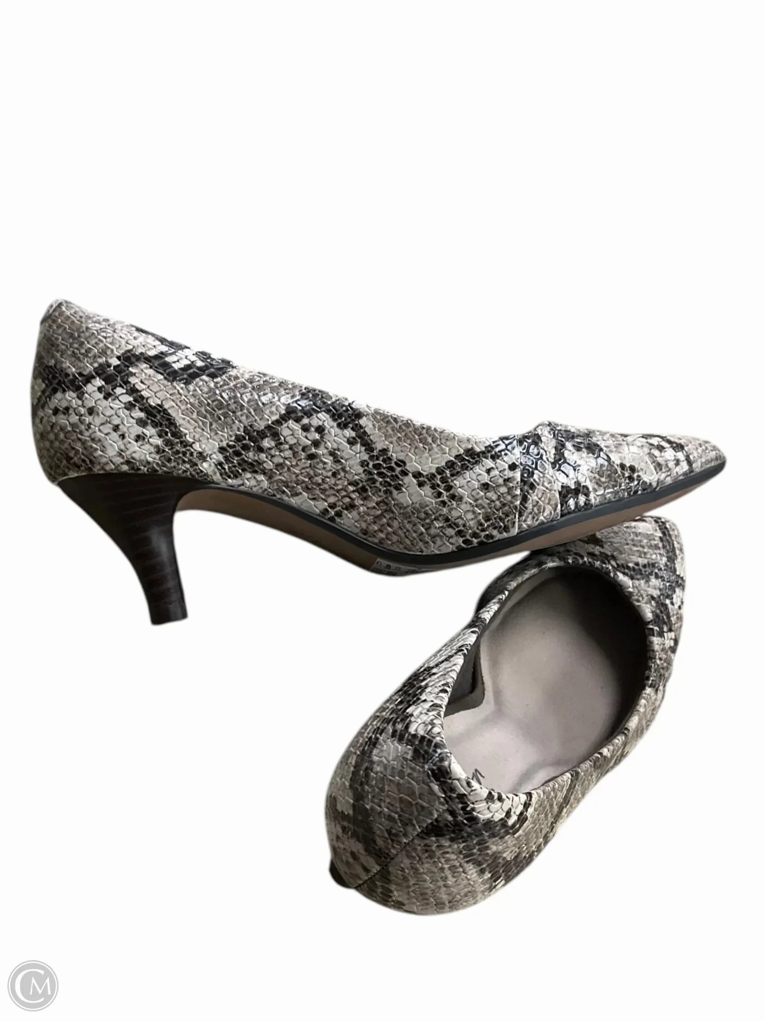 Shoes Heels Kitten By Clarks In Snakeskin Print, Size: 6.5 Leather Footwear