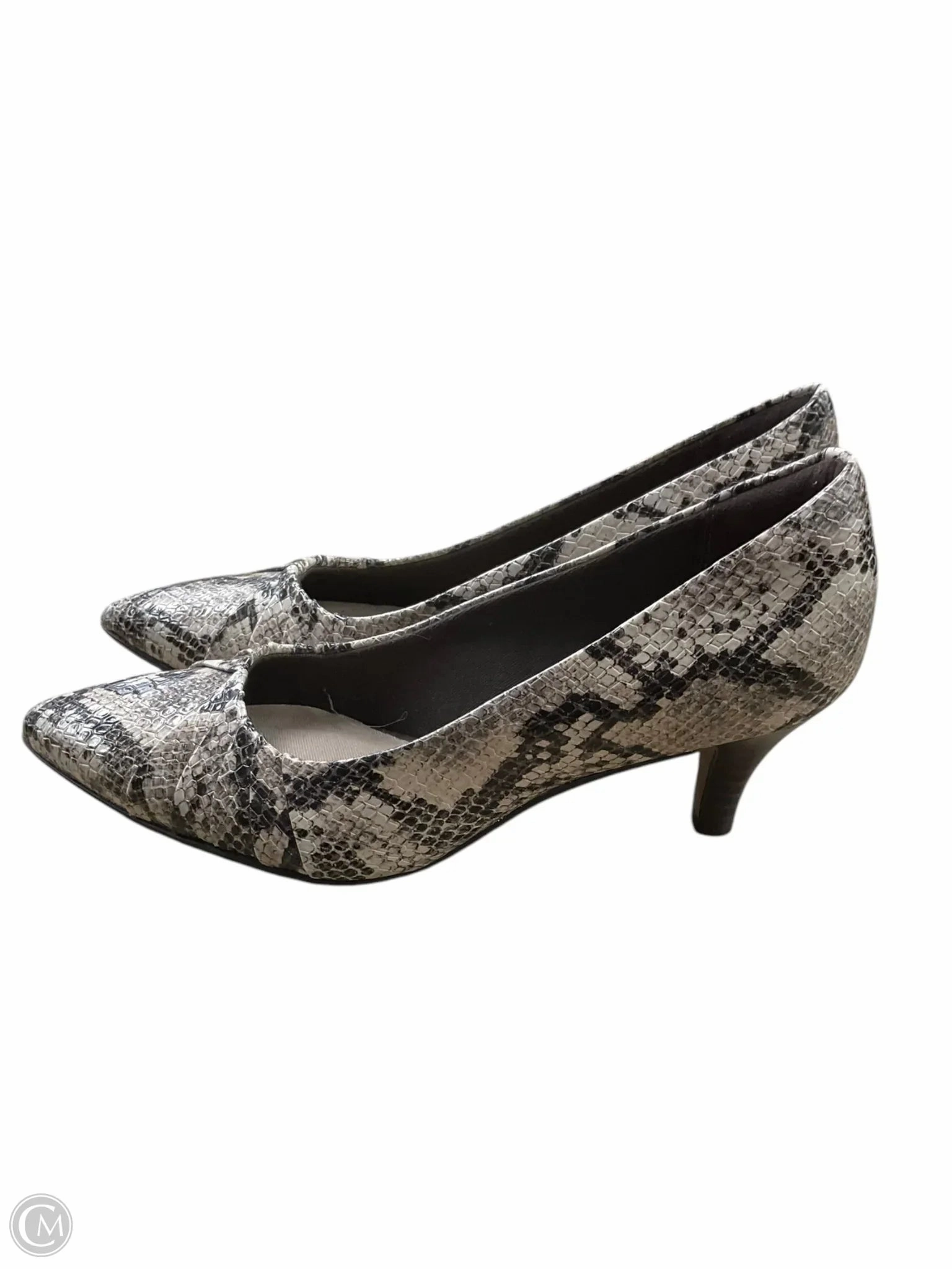 Shoes Heels Kitten By Clarks In Snakeskin Print, Size: 6.5 Leather Footwear